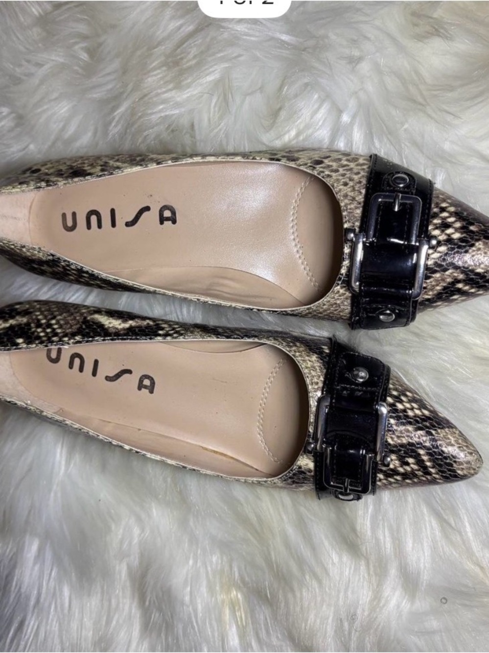 Unisa Snake-Print Pointed Toe Flats with Black Buckle